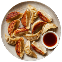 Gyoza