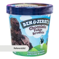 Ben & Jerry's Chocolate Fudge Brownie (100ml)
